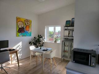 Solrig og moderne villalejlighed tæt på midtbyen - 8