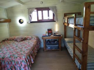 LA VOLPE DI AGROPOLI - 1