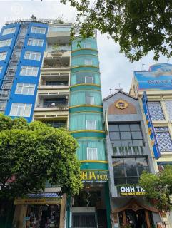 Camelia 108 Le Lai Hotel - Ho Chi Minh - 4