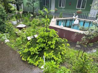 Hotel In Georgia - 2