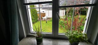 Ferienwohnung Palmenwald - Freudenstadt - 6