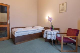 Hotel Slovan Plzeň - Plzeň - 4