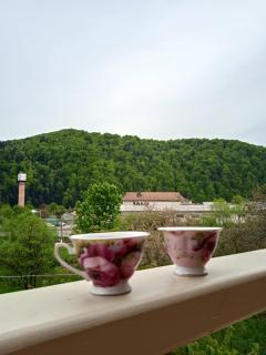 Chalet Ivanna - Delyatyn - 8