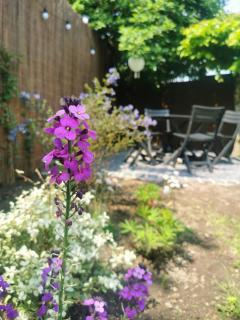 Hydrangea Cottage Arras - Saint-Laurent-Blangy - 8
