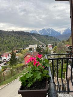 Casa TimEva Azuga - 0