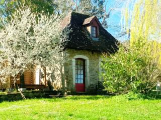 Maison de poupée et son SPA privatif - Orthez - 4