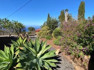 Casa Florita - 3