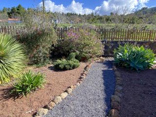 Casa Florita - Puntagorda - 2
