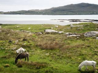 Kilbride Cottage - 8
