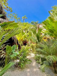 Buena Onda Bungalows - Santa Teresa Beach - 1