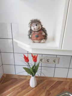 Hubis Ferienwohnung - Olpe - 6