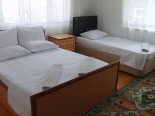 Sehsuvar Peace Pension - Egirdir - 1