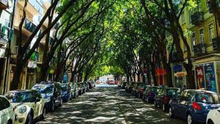 Campo de Ourique Rooms - Lissabon - 0