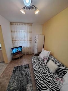Dovali apartment - Râmnicu Vâlcea - 0