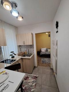 Dovali apartment - Râmnicu Vâlcea - 5