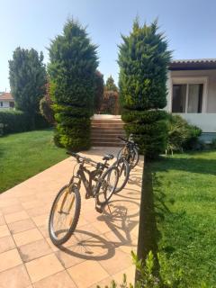 Beautiful Summer Villa in Chalkoutsi - Khalkoútsion - 5
