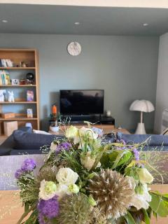 Appartement coeur Saint Remy de Provence - Saint-Rémy-de-Provence - 0