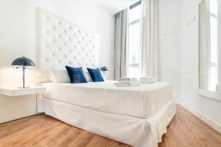 Spacious apartment by Picasso Museum by REMS - 8