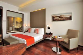 The Anya Hotel Gurgaon - Golf Course Road - 7