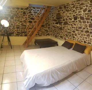 Maison charmante avec jardin centre-ville proche puy du fouu Arrivée autonome - Cholet - 5