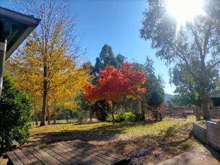 Riverbend Homestead - 9