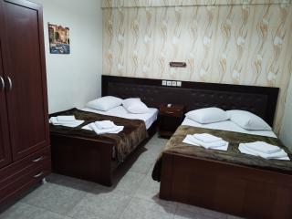 Hotel Villa Pigasos - Paralia - 4