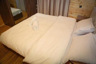 Triangle Villa Gabala. - 1