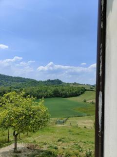 Bricco - Bed&Breakfast - Murisengo - 3