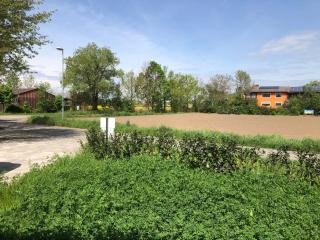 Reiterhof Kronwitter - 6