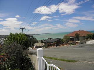 Seaview Villa - Oamaru - 6