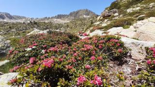 Attic loft Pas de la Casa - 6