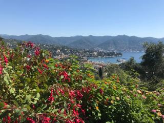 Solimano 50 - Santa Margherita Ligure - 0
