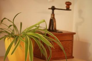 Lovely 3room apartment in Kalamaja next to oldTown - Tallinn - 7