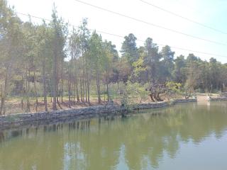 Kavalona Park - Vlorë - 2