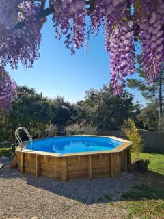 Ti'colombier d Azur - Trans-en-Provence - 5