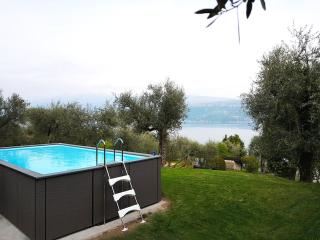Ville in uliveto vista lago - VILLA LECCINO - 9
