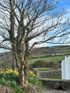Gors Eilian - Amlwch - 6