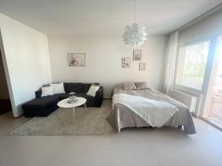 Gem of Annala - private sauna, free parking and WiFi - Tampere - 6