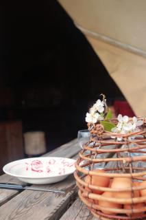 Tentes Safari aux Gîtes de Cormenin - 2