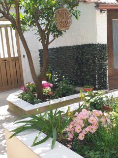 Casa vacanze con giardino e area barbecue - Martis - 6