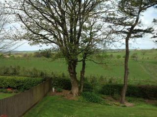 The Spinney - Barnstaple - 9
