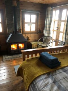 Bryn Fach Log Cabin - 5