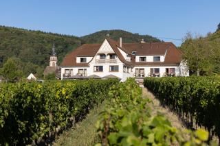 Hôtel Restaurant Le Kastelberg, The Originals Boutique - Andlau - 8