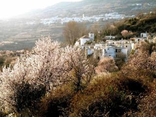 Casa Carmela, rural house with spectacular views, in an exquisite area - Atalbéitar - 7