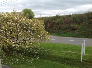 The Spinney - Barnstaple - 6
