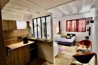 Le Spa Beauvoisine - Jacuzzi Sauna Rouen centre Free parking - Rouen - 3