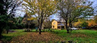 Casa Selva - Valdivia - 2