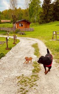 Dolina Rosy - Ustrzyki Dolne - 6