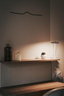 At home in Clermont, Place de Jaude - 6