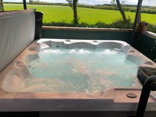Peaceful Holiday Lodge with Hot Tub - Lincolnshire - 9